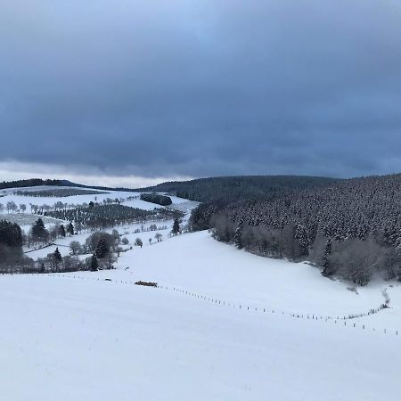 Appartement Familie Willems Winterberg 3 Eksteriør bilde