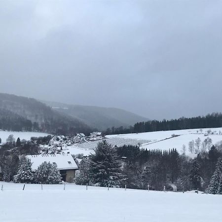 Appartement Familie Willems Winterberg 3 Eksteriør bilde
