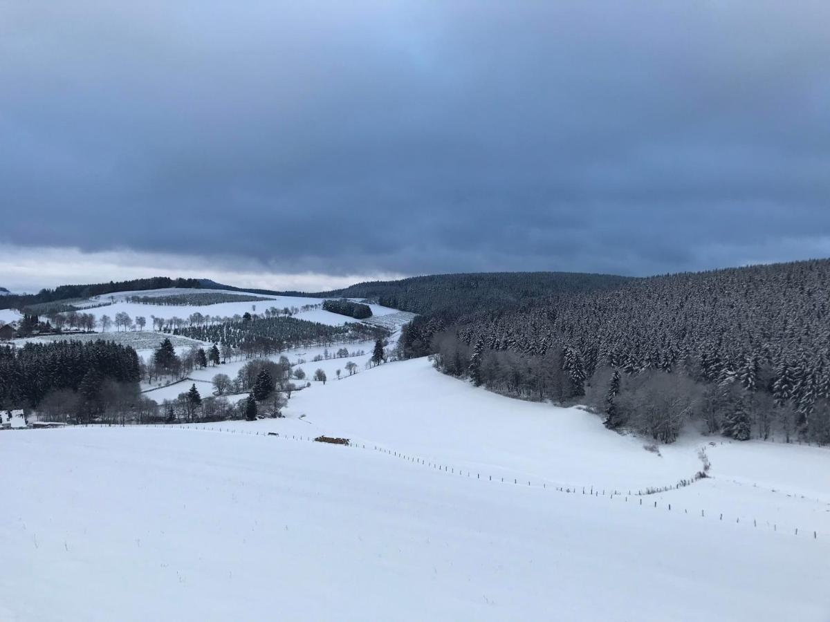 Appartement Familie Willems Winterberg 3 Eksteriør bilde