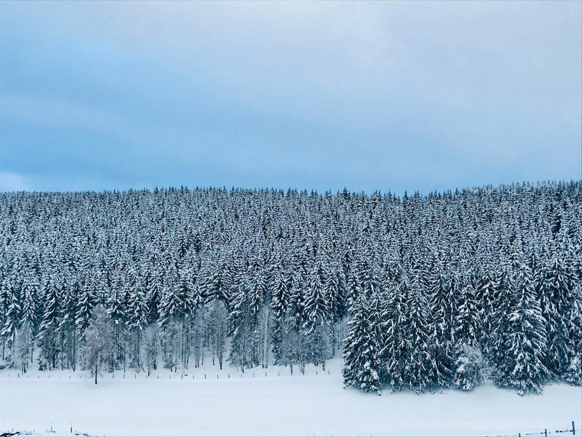 Appartement Familie Willems Winterberg 3 Eksteriør bilde